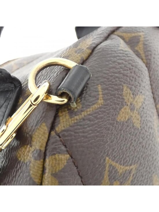 Louis Vuitton Monogram Palm Springs Backpack Mini main image 7